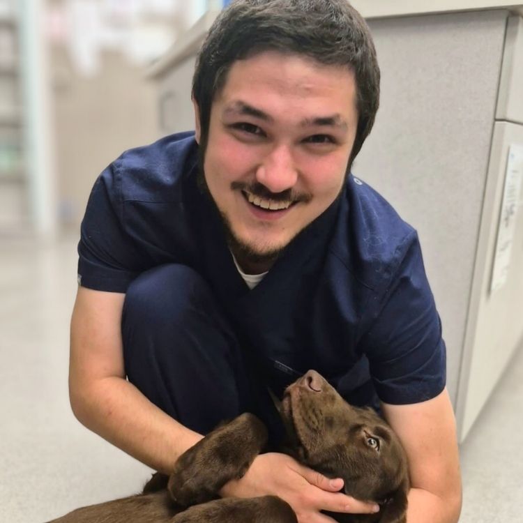 A person in dark blue scrubs smiles while holding a brown dog in their arms